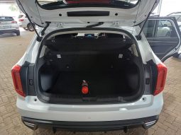 2025 – HAVAL JOLION 1.5T CITY